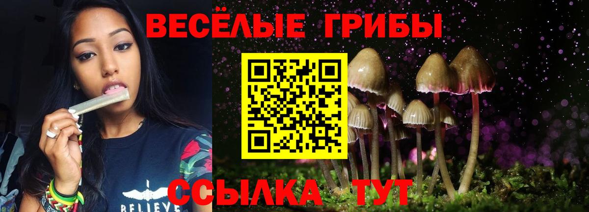 Галлюциногенные грибы мухоморы  Вход с VPN  Кизляр 