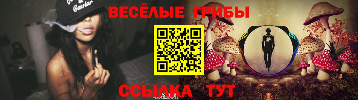 Галлюциногенные грибы Psilocybe Кизляр